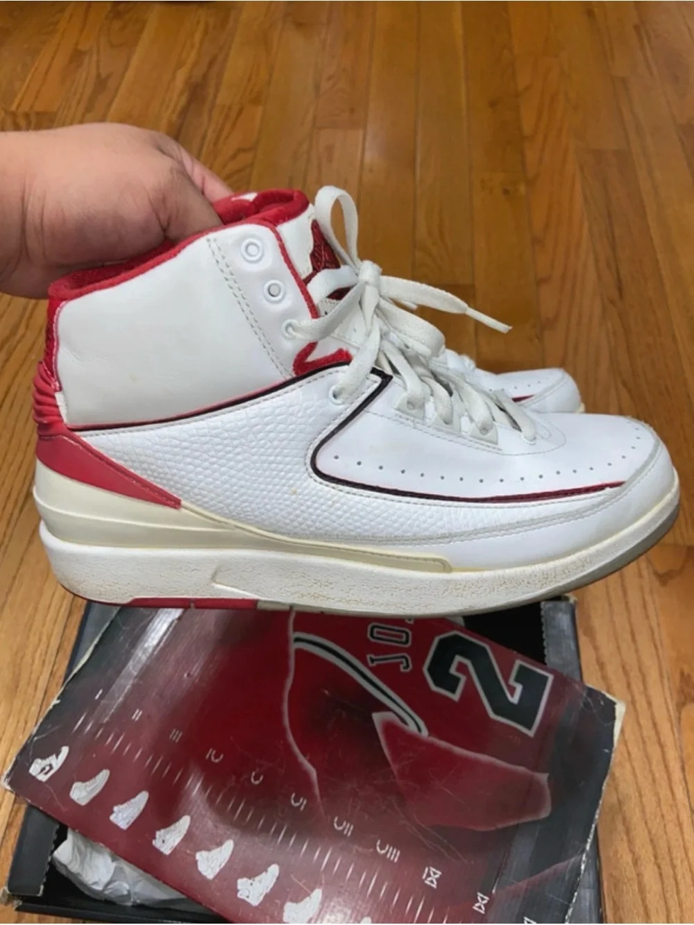 Air Jordan 2 retro